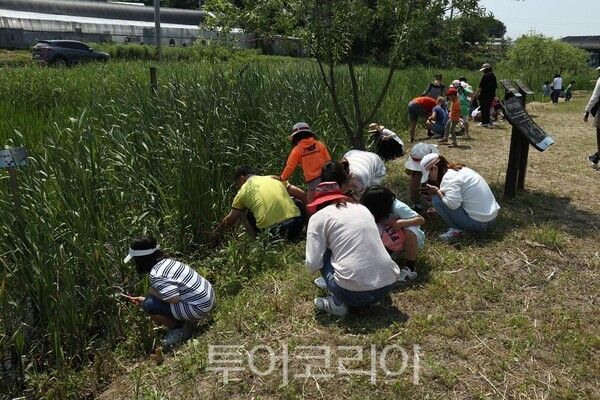 ‘물자라와 떠나는 호조벌 둠벙 탐험’ 현장/사진=경기도