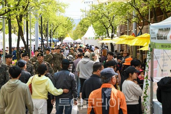 2025 청춘양구 곰취축제 인파/사진=양구군