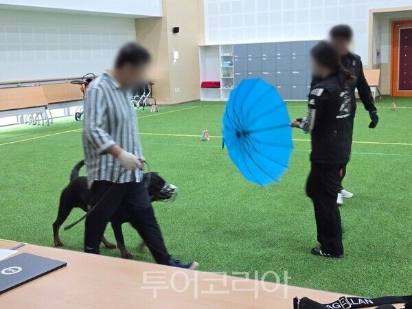 맹견 사육허가제도 rl질평가/ 사진=경기도