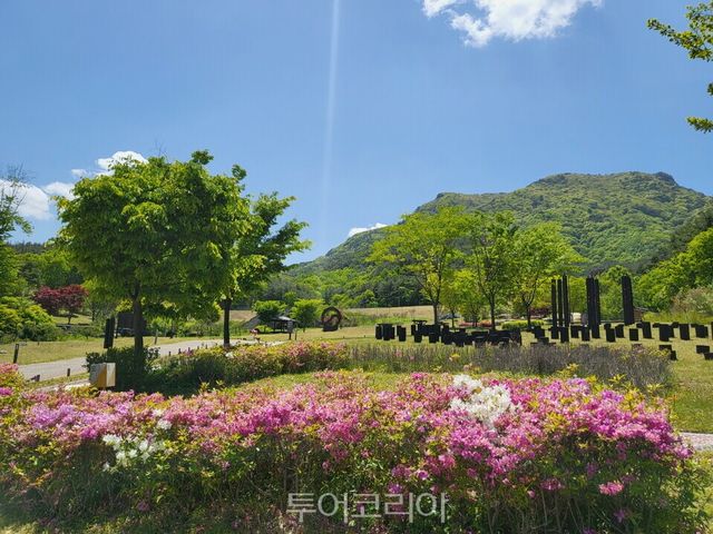 태권도원 전통무예수련장 일대/사진=태권도원