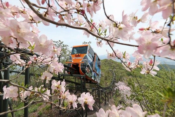 함양대봉산휴양밸리