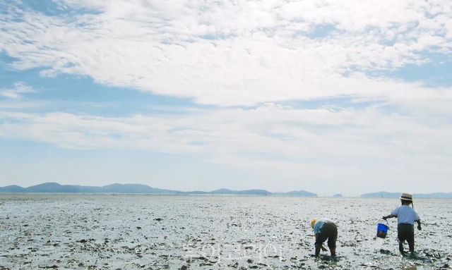 동막해변/사진-강화군