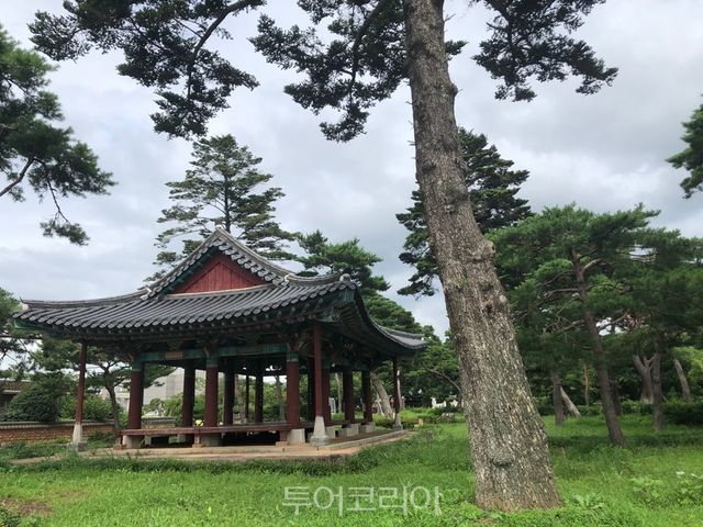 영암 구림마을 회사정/사진-영암군