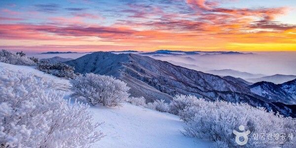 소백산 (ⓒ한국관광공사 포토코리아-김재근)