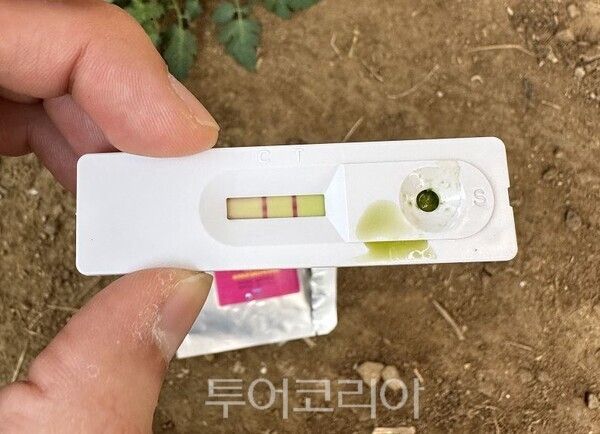 바이러스 현장 진단키트 이미지