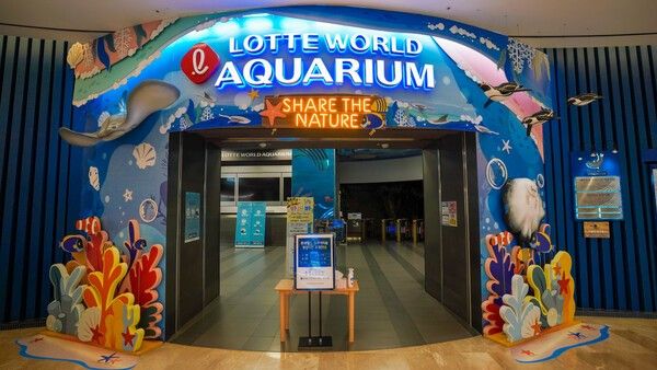 사진=롯데월드 아쿠아리움