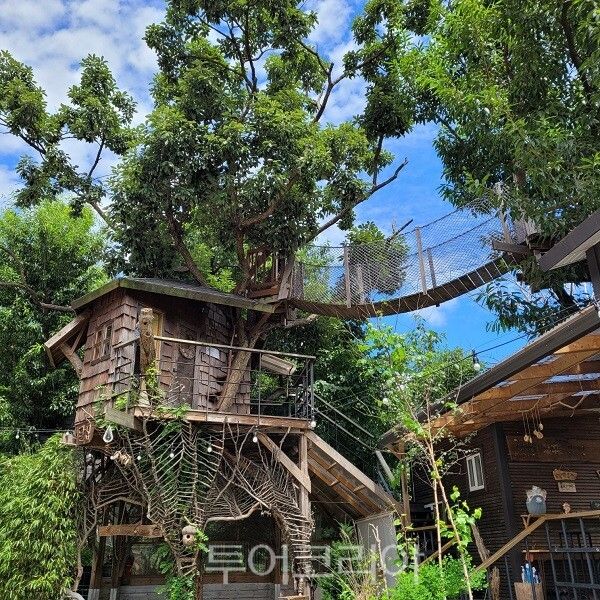 톰아저씨트리하우스