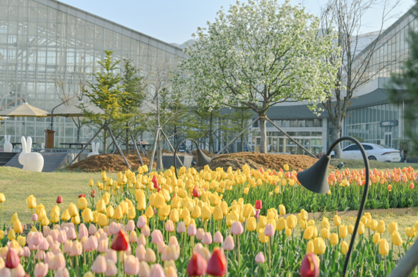 사진=국립세종수목원