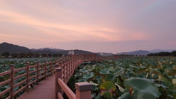 사진=지산샛강생태공원