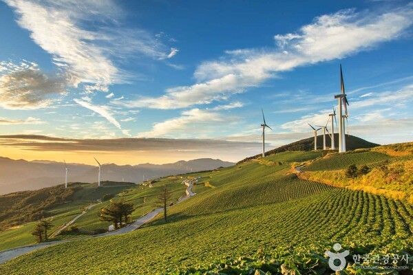 바람의 언덕 (ⓒ한국관광공사 포토코리아-서보선)