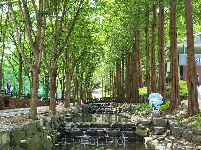 새 단장 마친 칠갑산자연휴양림 /사진=청양군