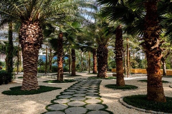 사진=왕궁 포레스트