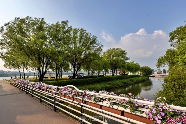 "(사진9) 서래섬 전경" "(사진8) 서래섬 피크닉" "(사진7) 서래섬 산책로" "(사진6) 서래교 전경" "(사진5) 서래섬 입구" /사진-서울관광재단