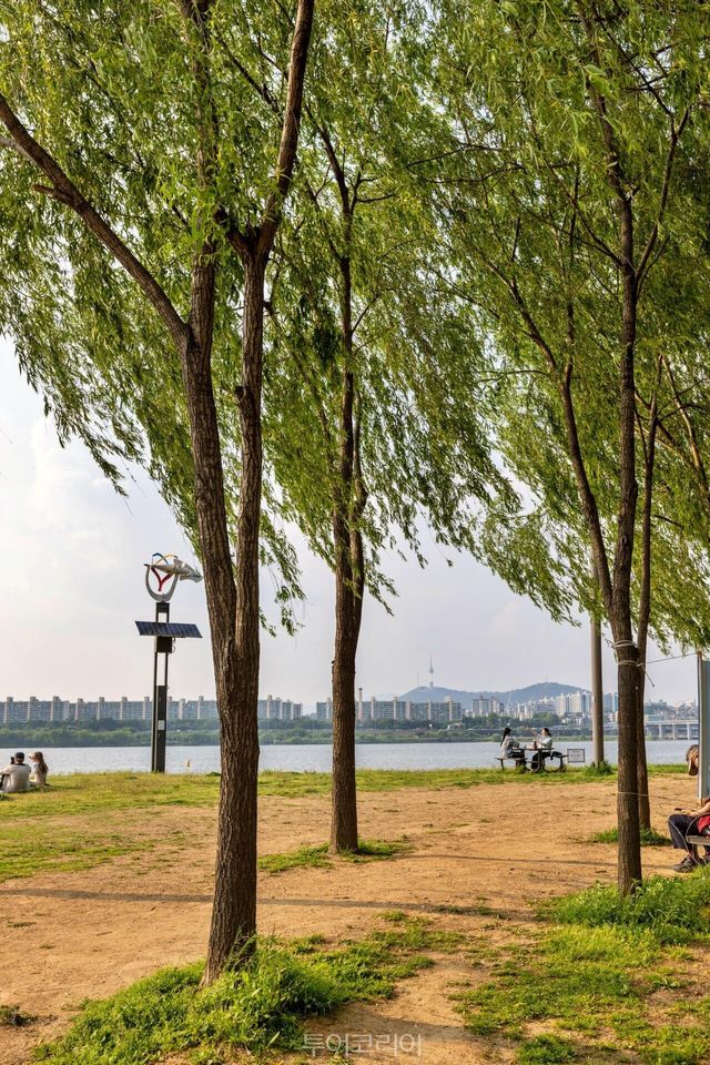 "(사진9) 서래섬 전경" "(사진8) 서래섬 피크닉" "(사진7) 서래섬 산책로" "(사진6) 서래교 전경" "(사진5) 서래섬 입구" /사진-서울관광재단