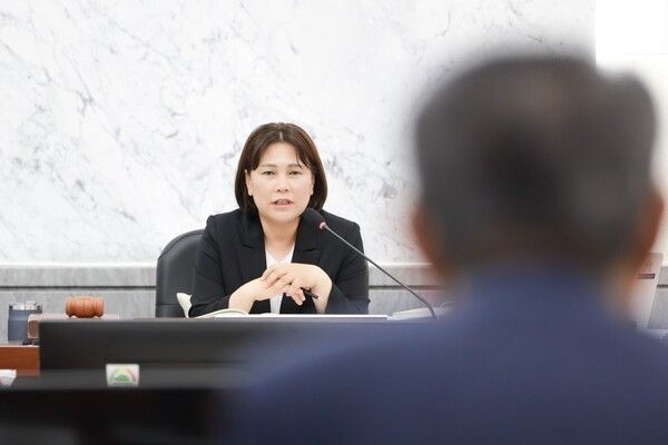 조예란 광주시의회 도시환경위원회 위원장(사진제공=광주시의회)