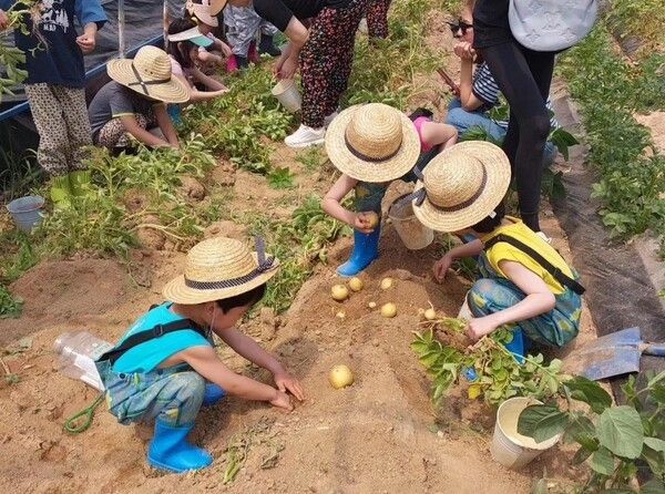 미애친애 농촌체험교육농장