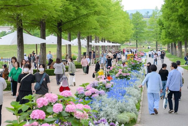 순천만국가정원/사진-순천시