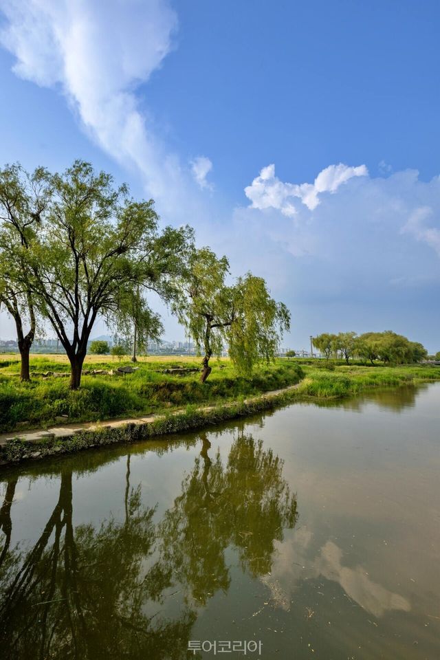 "(사진9) 서래섬 전경" "(사진8) 서래섬 피크닉" "(사진7) 서래섬 산책로" "(사진6) 서래교 전경" "(사진5) 서래섬 입구" /사진-서울관광재단