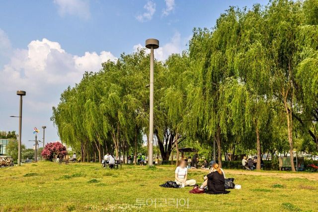 &nbsp;서래섬 피크닉 /사진-서울관광재단