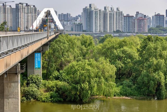 &nbsp;서강대교에서 본 밤섬 /사진-서울관광재단