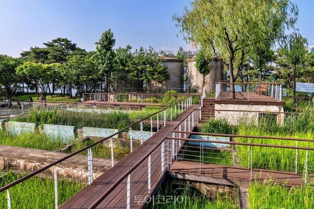 "(사진11) 선유도 원형극장" "(사진10) 선유교" "(사진14) 수질정화원" "(사진13) 선유도 정원" "(사진12) 선유도 녹색기둥" /사진-서울관광재단