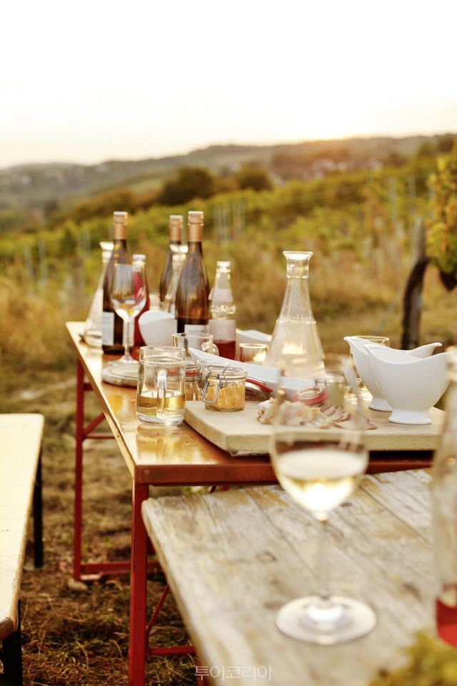 비엔나의 호이리거, 비닝거 암 누스베르크 © WienTourismus_Peter Rigaud