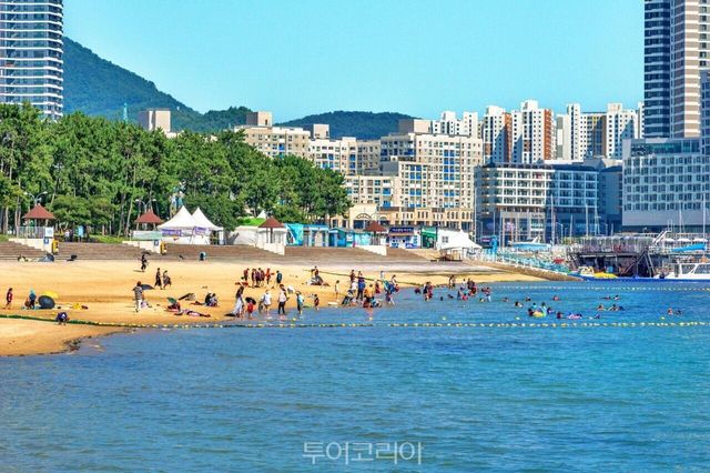 "추천 관광지- 진도 가계해수욕장.jpg" "추천 관광지- 무안 홀통해수욕장.jpg" "추천 관광지- 여수 웅천해수욕장.jpg" "추천 관광지- 영광 가마미해수욕장.jpg" /사진-전남도