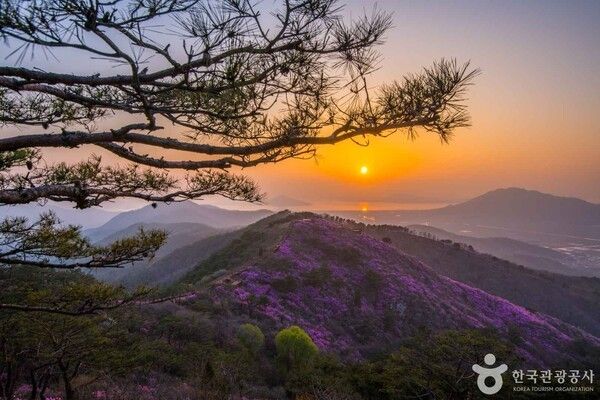 고려산 (ⓒ한국관광공사 포토코리아-라이브스튜디오)