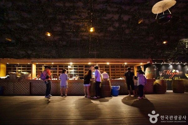 머루와인동굴 (ⓒ한국관광공사 포토코리아-IR 스튜디오)