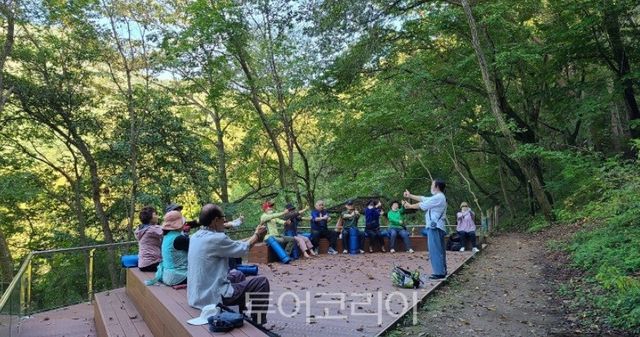 홍천군 공작산 생태숲 /사진-홍천군