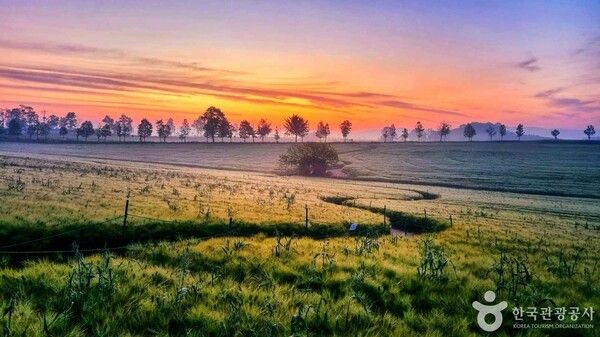 보리나라 학원농장 (ⓒ한국관광공사 포토코리아-윤종구)