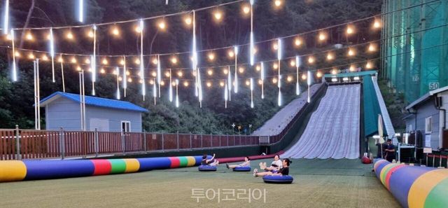 단양사계절썰매장 전경/사진-단양군