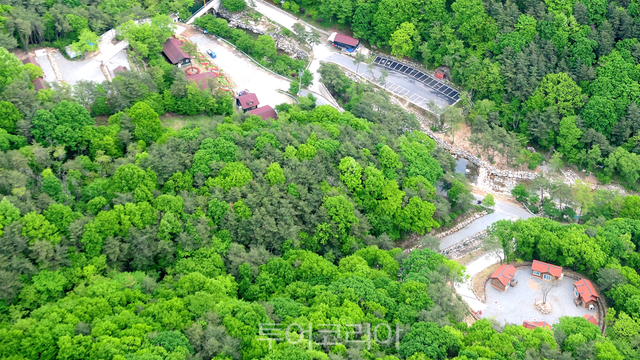 합천 오도산자연휴양림캠핑장/사진-경상남도
