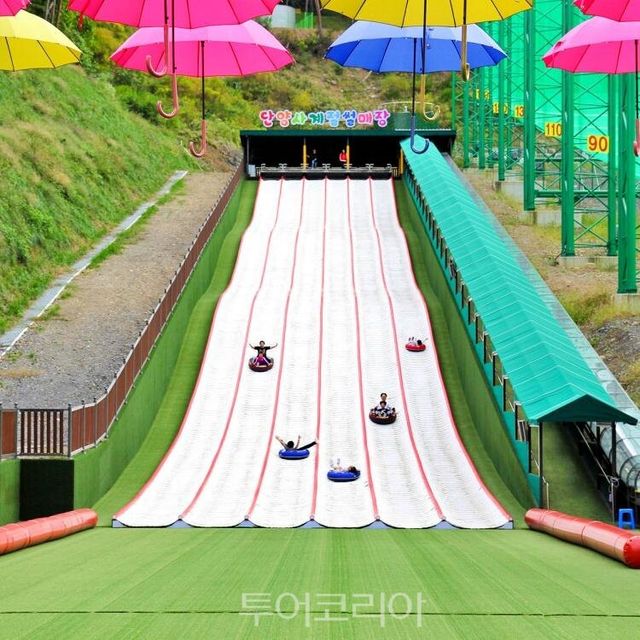 단양사계절썰매장 전경/사진-단양군