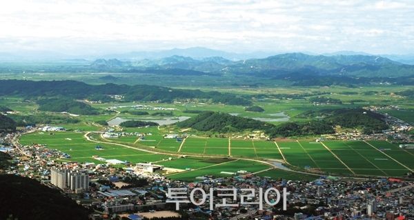 금학산에서 바라본 철원평야/철원농업기술센터 제공