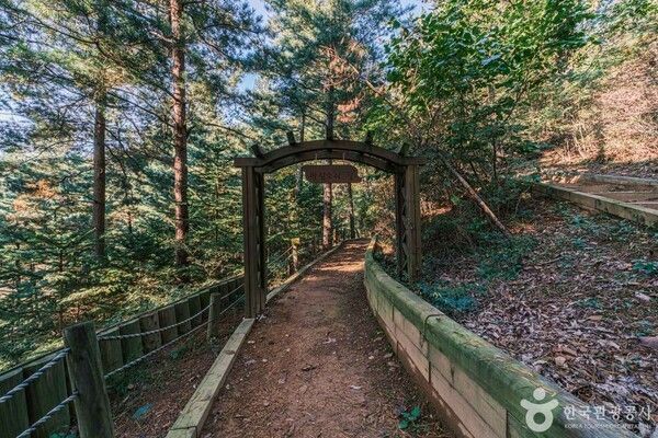 좌구산 자연휴양림 (ⓒ한국관광공사 포토코리아-김영호)