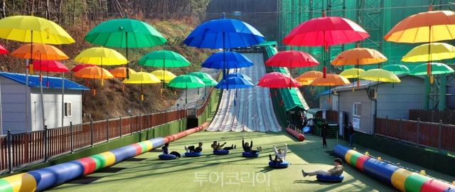 단양사계절썰매장 전경/사진-단양군