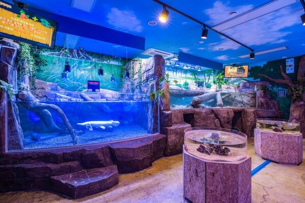 사진=아르티스테마파크