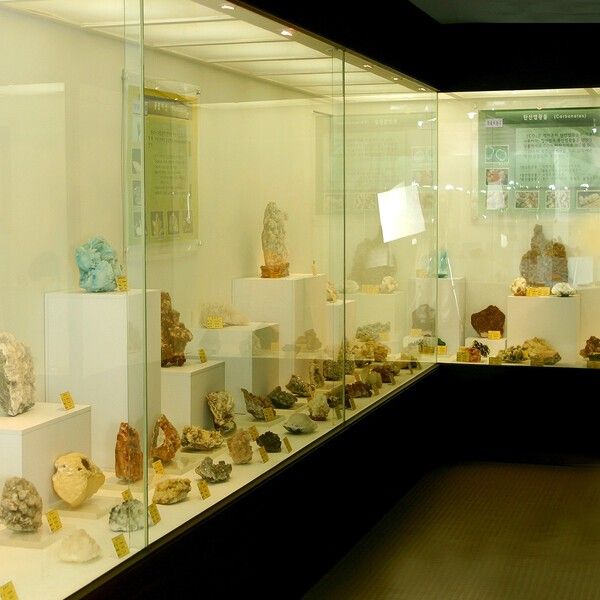 사진=창조자연사박물관