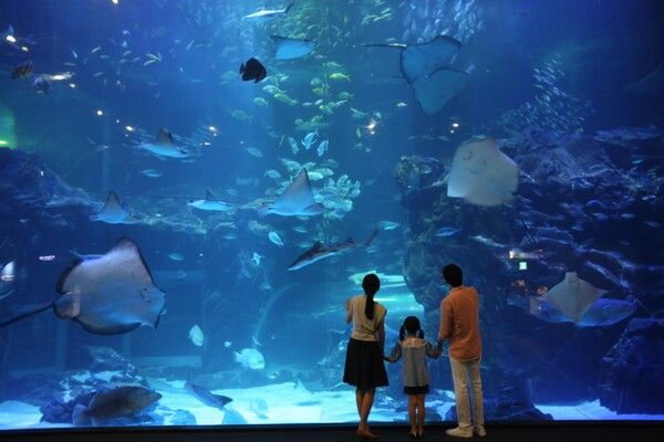 사진=아쿠아플라넷 일산