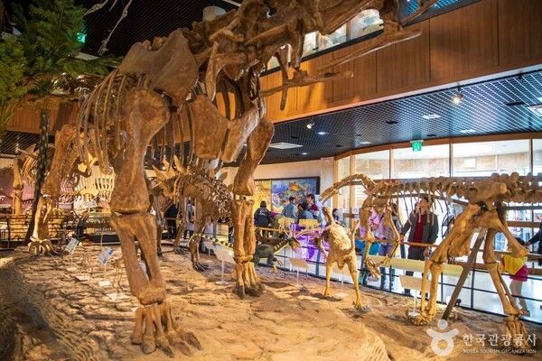안면도 쥬라기박물관 (ⓒ한국관광공사 포토코리아-김지호)