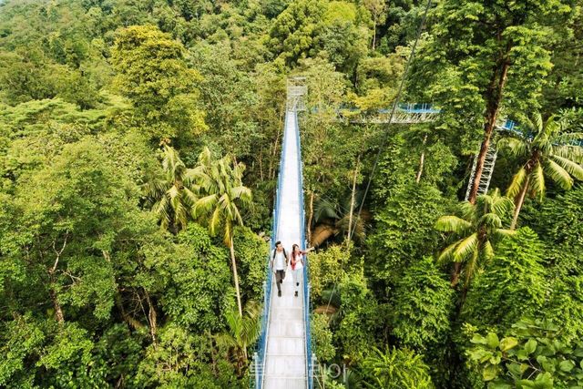 말레이시아 FRIM 셀랑고르 포레스트 파크/사진-말레이시아관광청