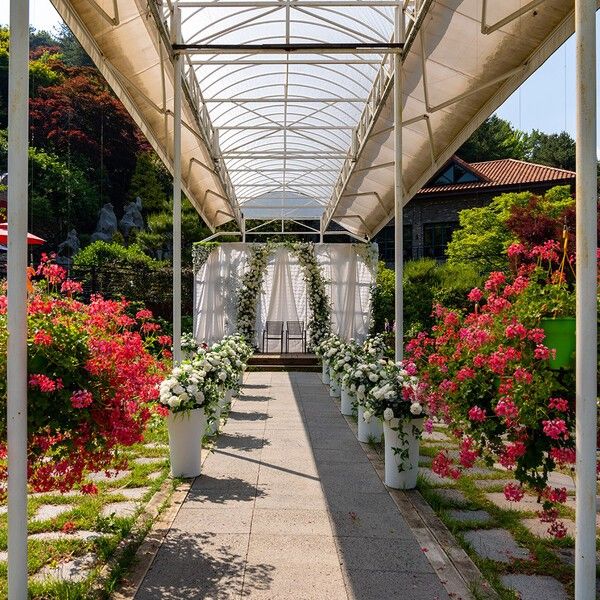 사진=아름다운정원화수목