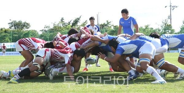 자료사진. /사진-강진군