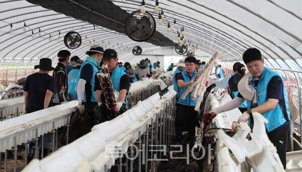 한국농어촌공사는 나주 노안면 수해 현장에서는 본사와 전남지역본부 임직원 60여 명이 참여한 가운데 복구 활동을 진행했다. /사진-한국농어촌공사