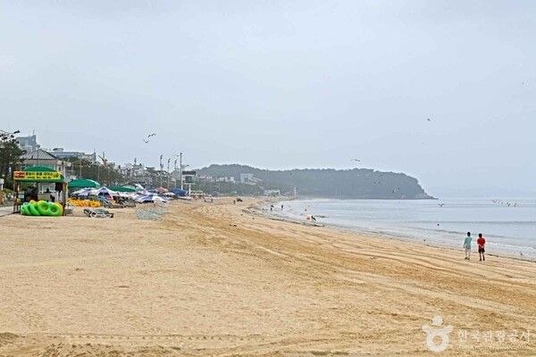 대천해수욕장 (ⓒ한국관광공사 대한민국 구석구석)