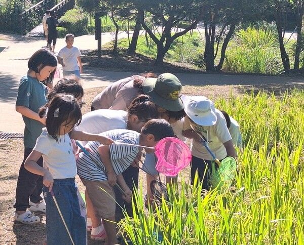 숲해설 프로그램 운영 모습(사진제공=강동구청)