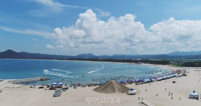 1. 영덕군 고래불해수욕장 전경. 2. 영덕군 고래불해수욕장의 모래 썰매장 모습./사진-영덕군