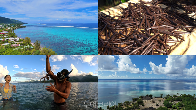 &nbsp;라이아테아(Raiatea) 스틸컷/ 사진-타히티&nbsp;관광청