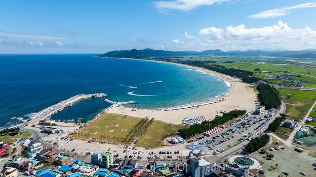 1. 영덕군 고래불해수욕장 전경. 2. 영덕군 고래불해수욕장의 모래 썰매장 모습./사진-영덕군